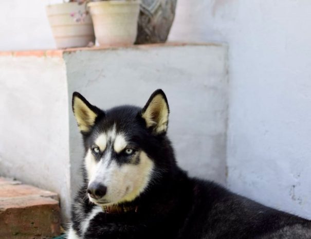 Hotel,-Bogota,-Suesca_-parejas,-amor,-aniversario,-desconeìctate,-naturaleza,-cumpleanÞos,-Colombia,-aventura,-deportes,-escalada-35